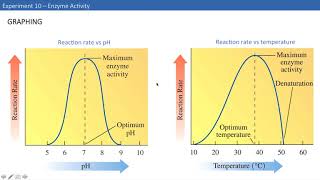 CHEM 102   Exp 10 intro