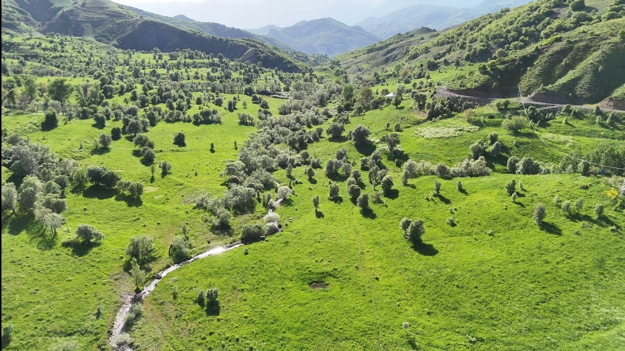 Haçkirek 