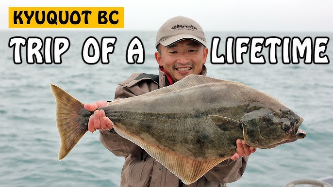 Fishing with Rod: Ucluelet Salmon & Halibut Adventure 