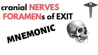Step 1 High Yield Neuro | Cranial Nerves Foramen of Exit MNEMONIC