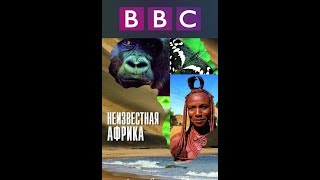 Документальный фильм BBC. АФРИКА Документальный фильм BBC. АФРИКА