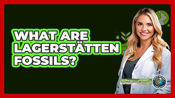 What Are Lagerstätten Fossils? - Earth Science Answers