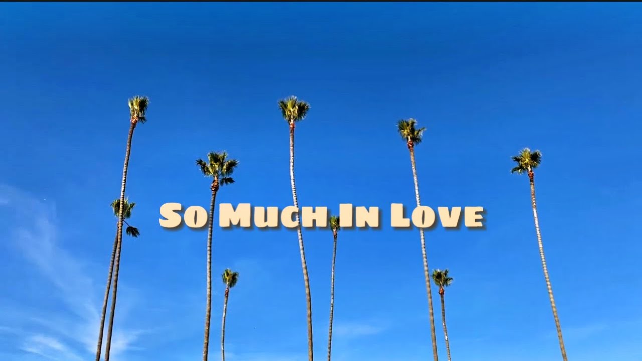 So Much In Love Youtube