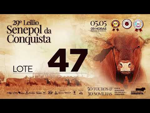 LOTE 47 CONQ 2513