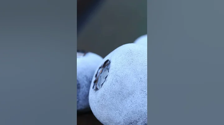 TimeLapse - Macro Frozen Blueberies Defrosting - Ice Melting 4K #shorts