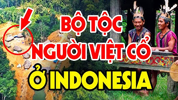Phát Hiện Chấn Động Bộ Tộc Người Việt Cổ Ở Indonesia - Việt Sử Toàn Thư