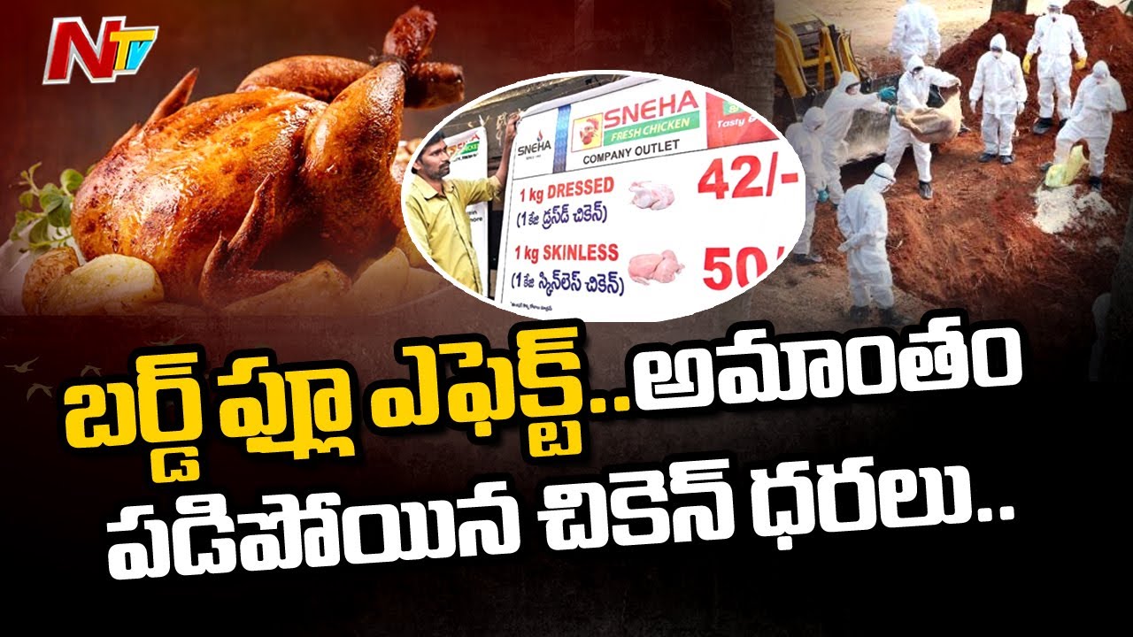 Chicken And Eggs Price Dropped Drastically Due To Bird Flu Fear In Karimnagar | NTV