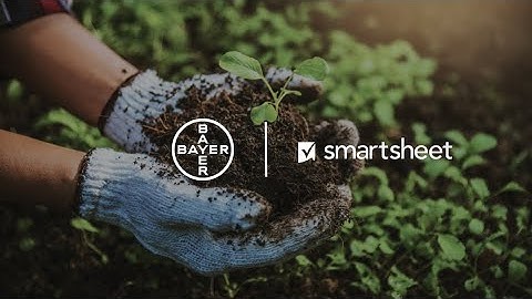 Bayer gains real-time visibility with Smartsheet, saving countless hours