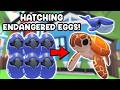 Hatchin 15 NEW Endangered Eggs! 😍| Adopt Me New Egg Update | Roblox