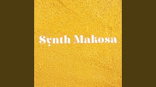 Synth Makosa