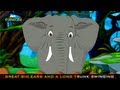 Edewcate english rhymes | Going to the Zoo Tomorrow Nursery Rhyme