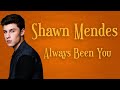 Shawn Mendes - Always Been You Karaoke 🎤