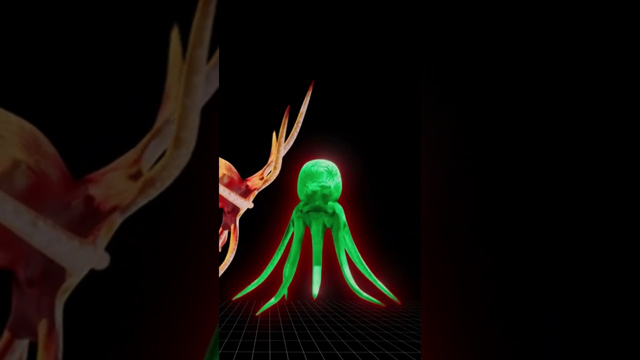 The Shocking Truth About Octopus Mating: Why the Female May Kill the Male | Kritter Pals