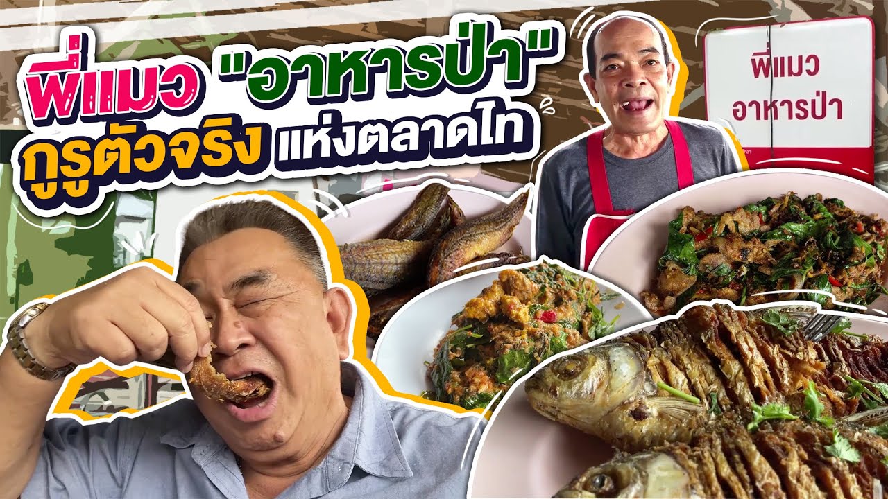 กูรูเก๋าตัวจริงเรื่องอาหารป่าย่านตลาดไท “พี่แมวอาหารป่า” | เนื้อหาที่เกี่ยวข้องร้าน อาหาร คลองหลวงที่สมบูรณ์ที่สุด