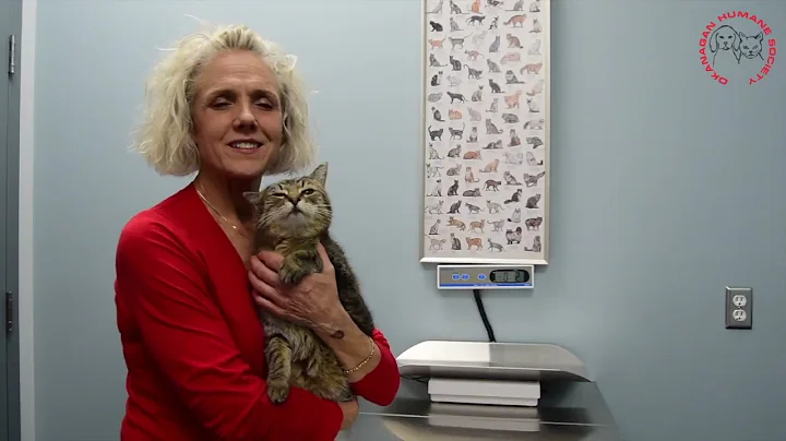 Okanagan Humane Society 2022~year in review and how you can help!