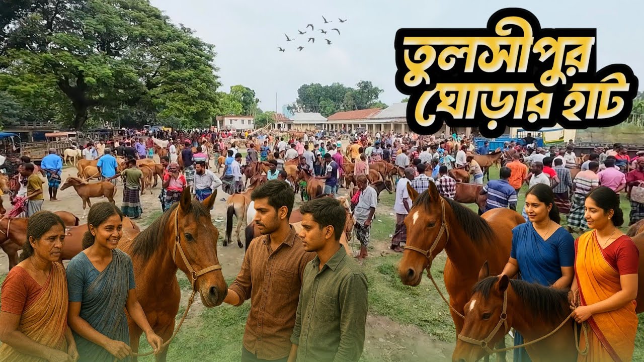 ভারতীয় উপমহাদেশের সবচেয়ে বড় ঘোড়ার হাট তুলসীপুর জামালপুর 