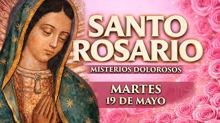 Santo Rosario de Hoy Martes 19 de Mayo de 2026 | Oración para Encontrar Paz y Fortaleza