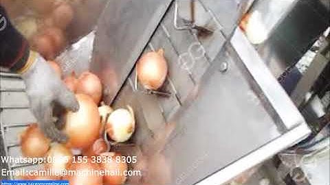 Automatic Onion Processing Line Onion Peeling and Root Cutting Machine