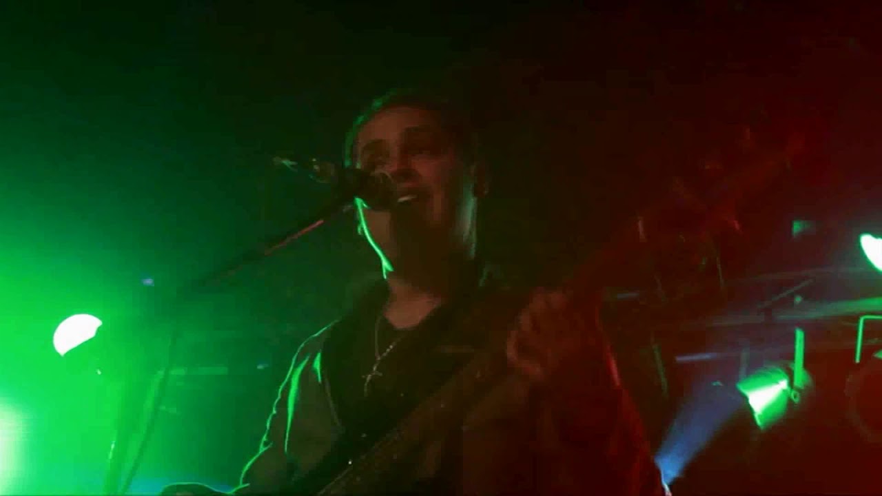 Guardianes del Amor de Arturo Rodríguez - El Perro, El Gato y Yo "En Vivo" (Video Oficial)