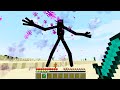 I KILLED THE STRONGEST ENDERMAN