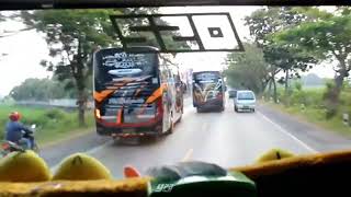 Story WA Vidio bus 3 bus PO HARYANTO ngeblong