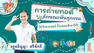 วิทยาศาสตร์ ป.5 | เรื่องการถ่ายทอดลักษณะทางพันธุกรรม