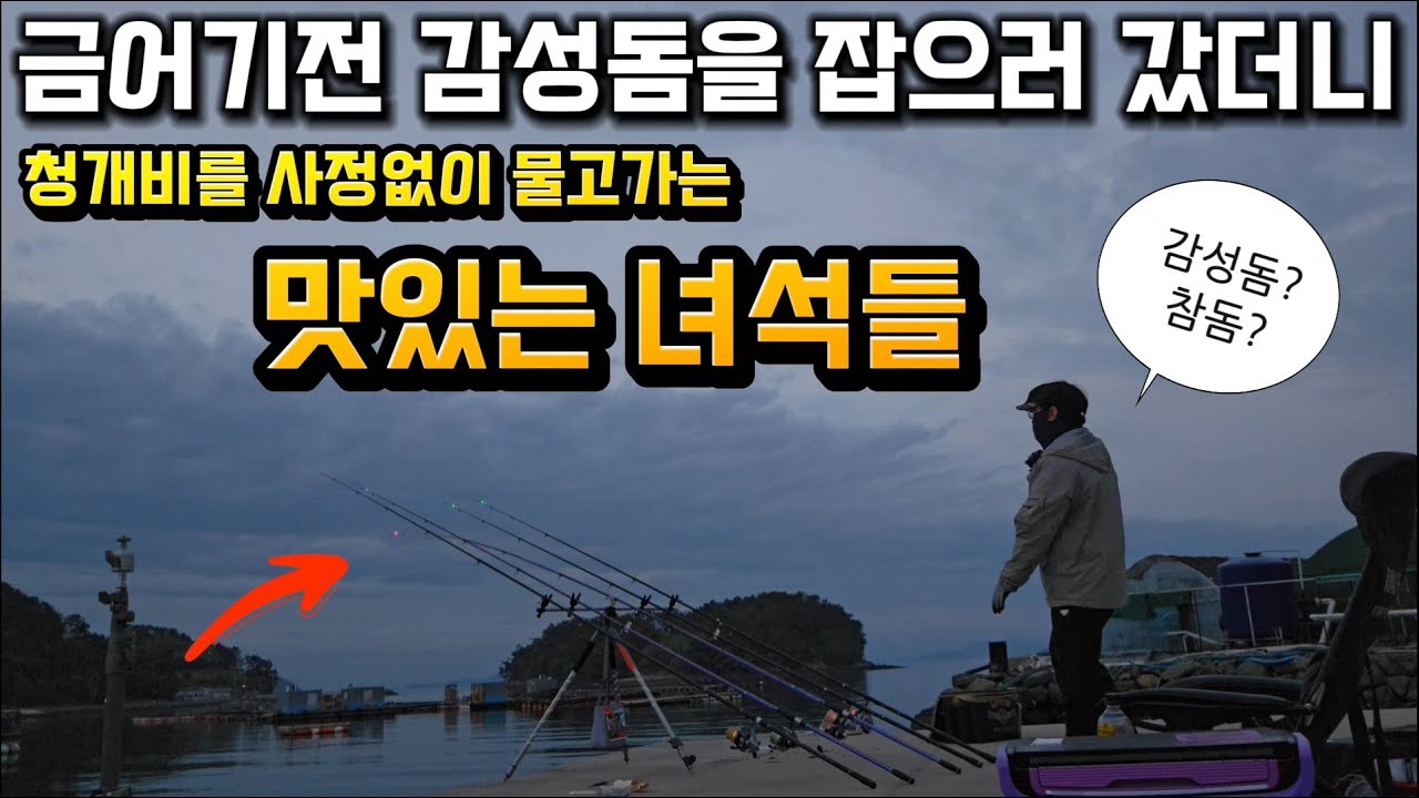 5월 시작되는 바다의미녀!! 통영 주차하고 바로 낚시가능한 참돔이 잘 나오는 방파제를 발견하다/ 미끼는 청개비로 OK 맛있는 참돔조림으로 먹방까지/ 원투낚시로 자급자족 해보자