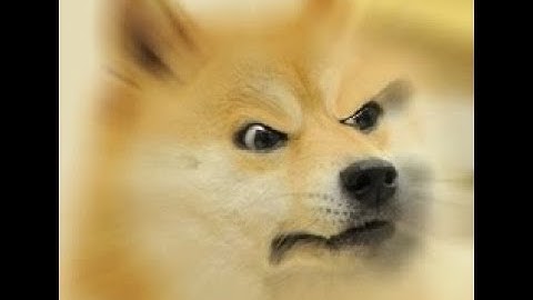 Crusader Quest - SCREW YOU BUG