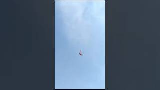 The Landing Energy Management #hanggliding #freeflight #aladelta