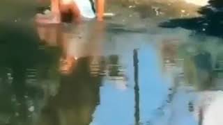 Deu Ruim. Vídeo Engraçado De Menina Estabanada Caindo No Lago. Escorregando. Humor.