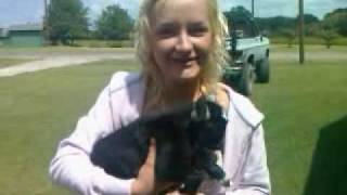 How To Make A Goat Bleat