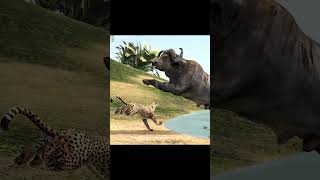 Animal Buffalo Vs Leopard Battle Epic Revolt Video #animalcartoonworld #cartoon