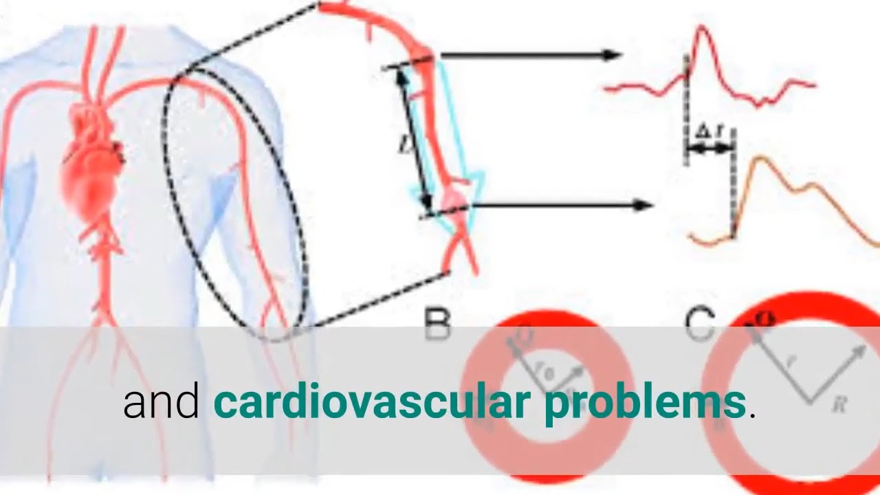 Alcohol And High Blood Pressure - The Relationship Between Alcohol and