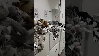 So Many Toys Inside Ikea  viral ikeastore ikea shorts short