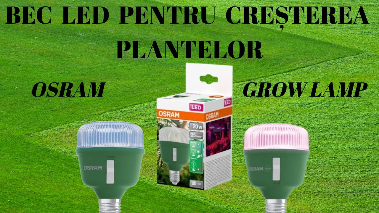 BEC OSRAM PENTRU CREȘTEREA PLANTELOR / REVIEW