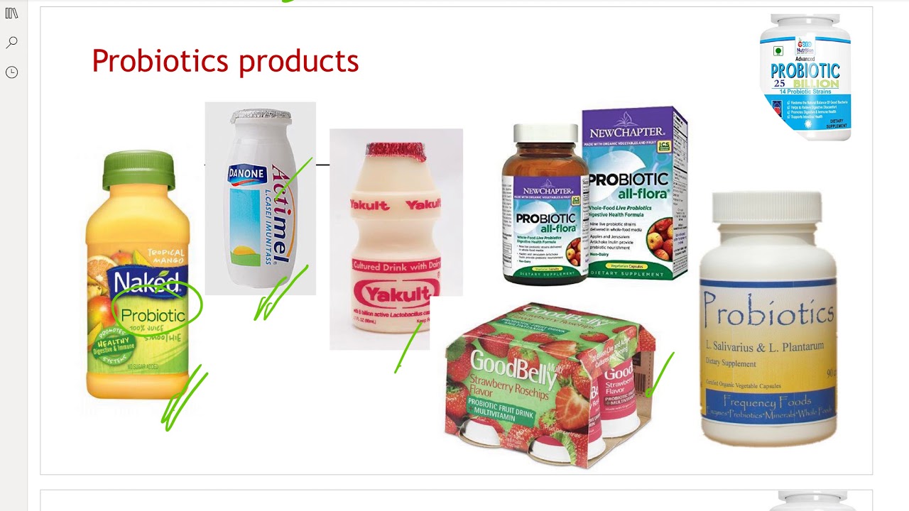 Prebiotics  Probiotics شرح بالعربى