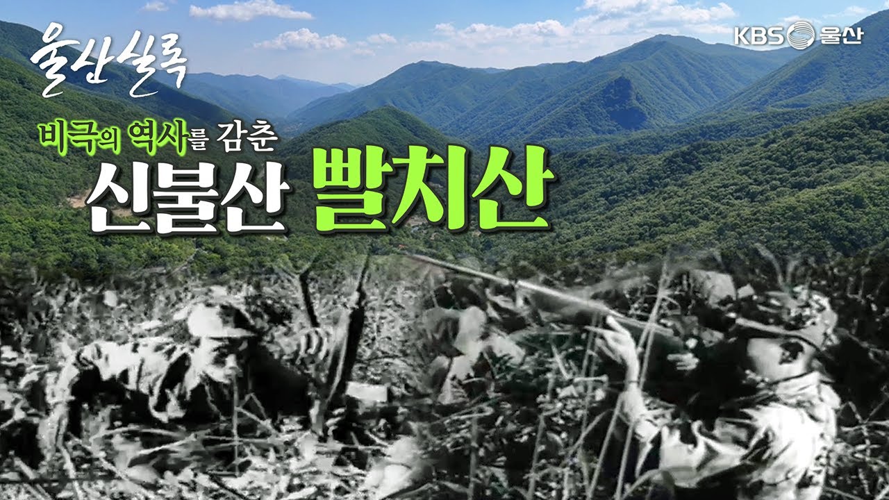 갈산고지를 점령하라 신불산 빨치산 [KBS울산 보물창고 - 울산실록] 24.6.18 방송