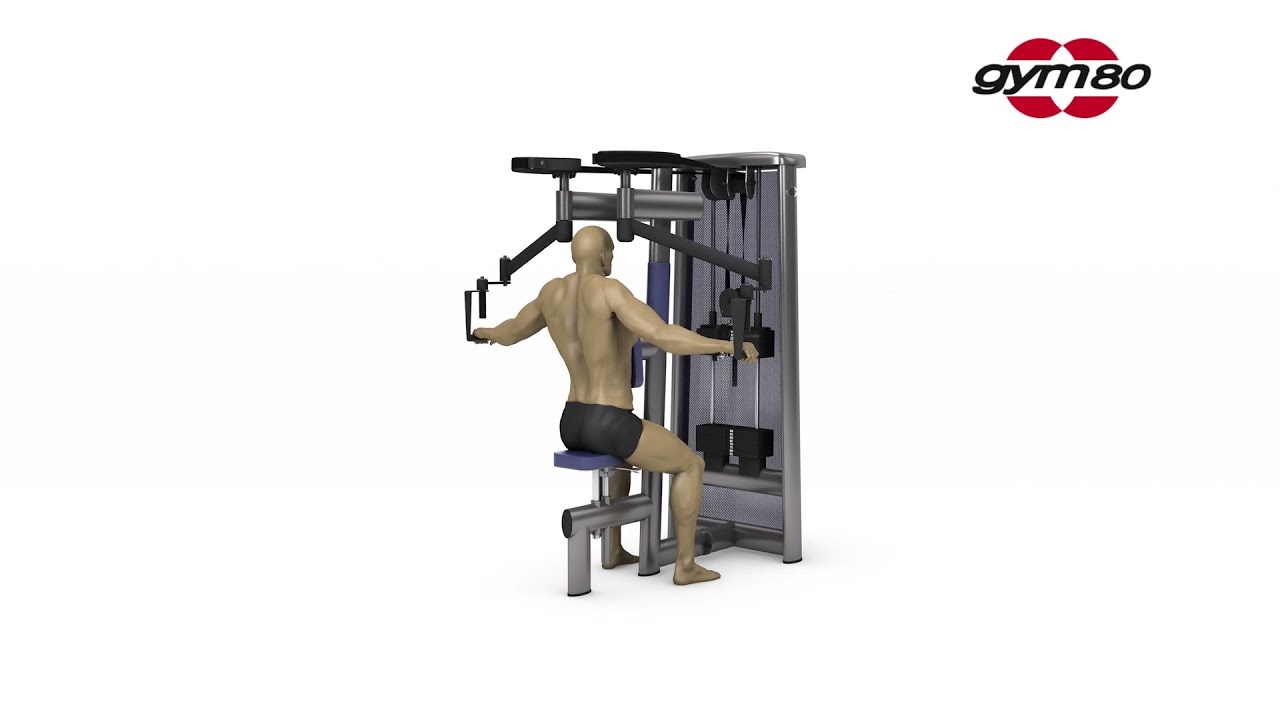 3025 Reverse Fly / Rear Delt - gym80 USA