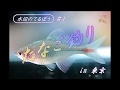 水辺のてるぼう　たなご釣り#1 Micro Fishing Japan