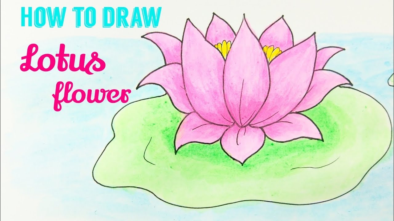 HOW TO DRAW LOTUS Lotus Flower Easy Step By Step Drawing