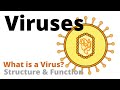 Structure and Function of a Virus (Virology Basics)