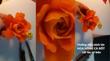 Hướng Dẫn chi tiết cách tỉa hoa hồng cà rốt - Bài 1 hoa chẻ cánh cơ bản @mebaohan.official