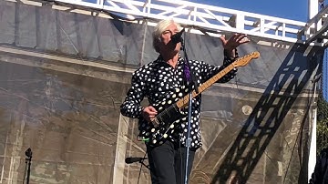 ROBYN HITCHCOCK - “The Man With The Lightbulb Head” 10/7/18