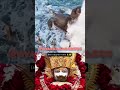 Subscribe for more 💫 Radhe Radhe 🌸 jay bholenath ki 🚩 Likeee and subscribe ✨#trending #motivation