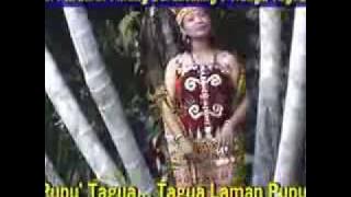 lagu dayak krio tagua,from mateus bujal kure village kalimantan barat