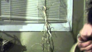Capture 20121124 3