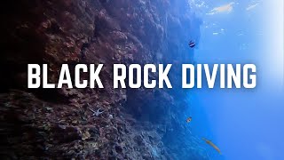 Scuba diving at Black Rock - Ka'anapali Beach on Maui