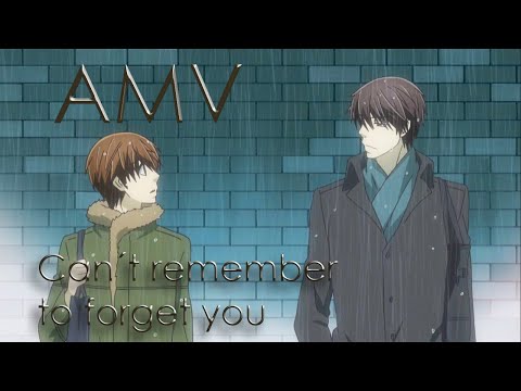 Sekaiichi Hatsukoi AMV - Can´t remember to forget you