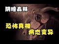 畸形夢境與變異的真相—陰暗森林P3 完結【小黑雜談】 thumbnail