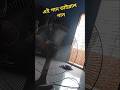 নতুন গান ভাইরাল শটস #shorts #fanart #fanshorts #shortvideo
